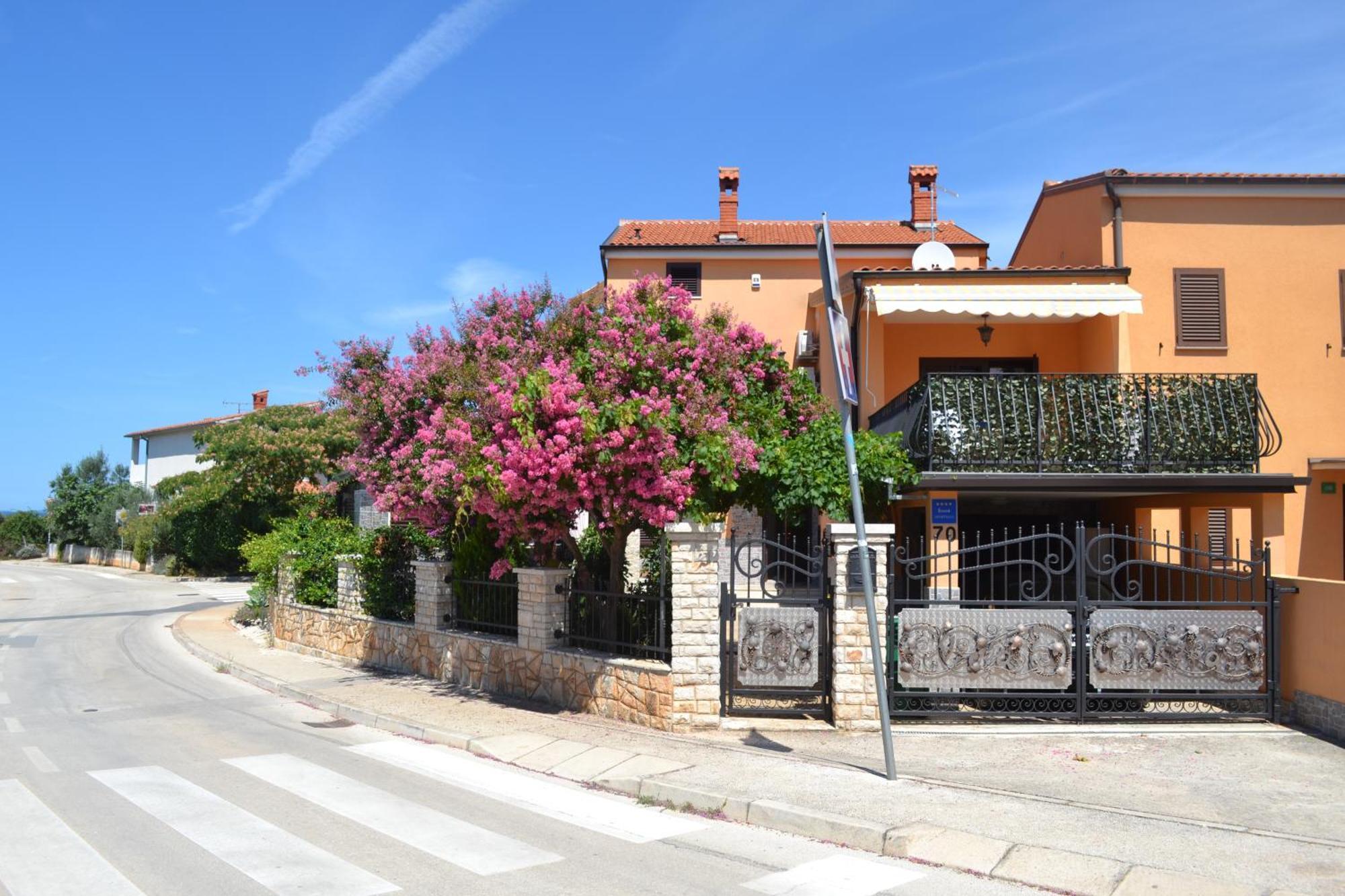 Viola Istra Guest House Stinjan Exterior photo